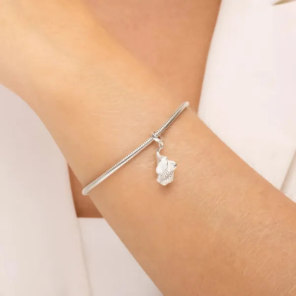 charm